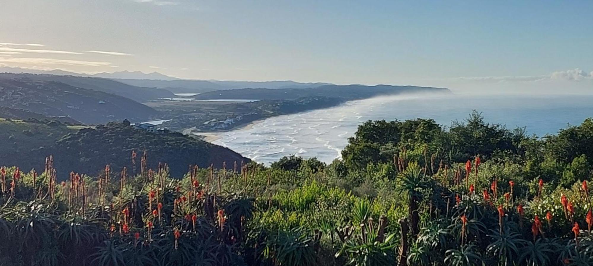 Paradise Cove Victoria Bay Esterno foto